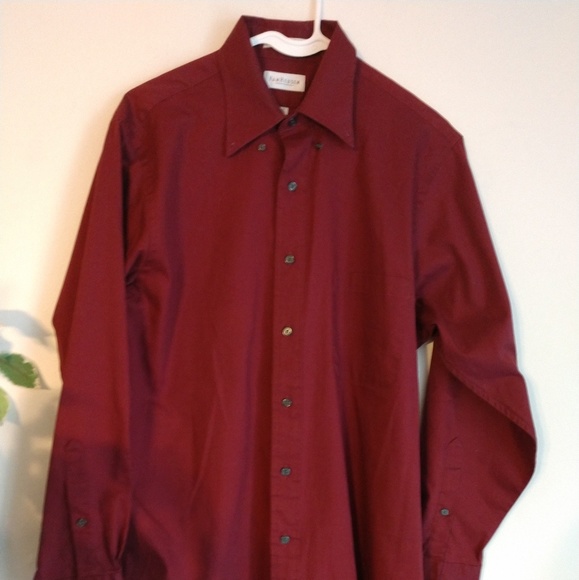 Van Heusen Other - Van Heusen 15.5 Button-up, Medium red